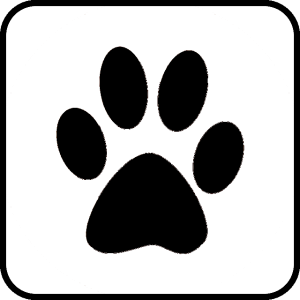 Animaux de compagnies acceptés